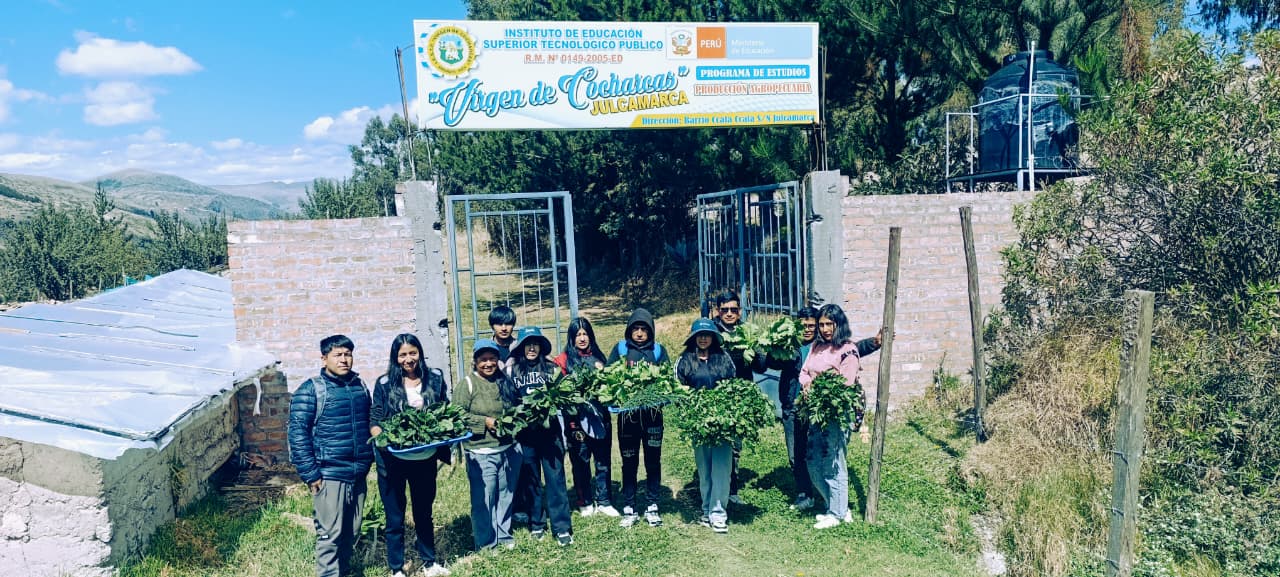PRODUCCION DE HORTALIZAS