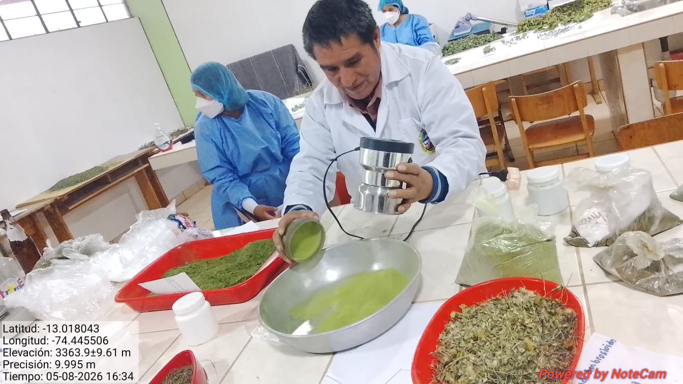 JABONES ECOLOGICOS  CON HIERBAS NATIVAS